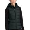 LIMITED EDITION Outdoor Research ®  Women's Coldsnap Hooded Down Vest OR322218