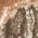 RT Edge